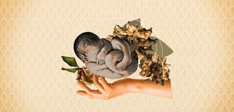 هلاك الأجنّة في غزّة ...كارثة طبية أفرزتها الحرب