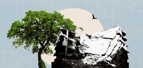 لن أعود إلى سوريا... ادفنوني في المجاز

