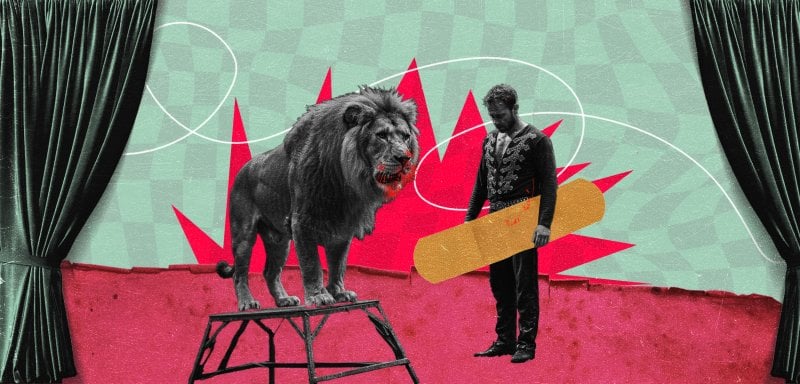 السيرك المصري وضحاياه… لحم الإنسان مسكِر كلحم الحمير