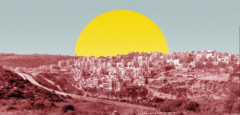 التعاونيّات الزراعيّة في فلسطين… اقتصاد مقاوم في وجه الاستيطان
