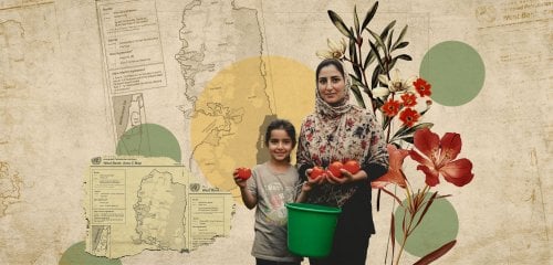 موسم النهب الكبير… كيف تخطط إسرائيل لنهب أكثر من نصف أراضي الضفة؟