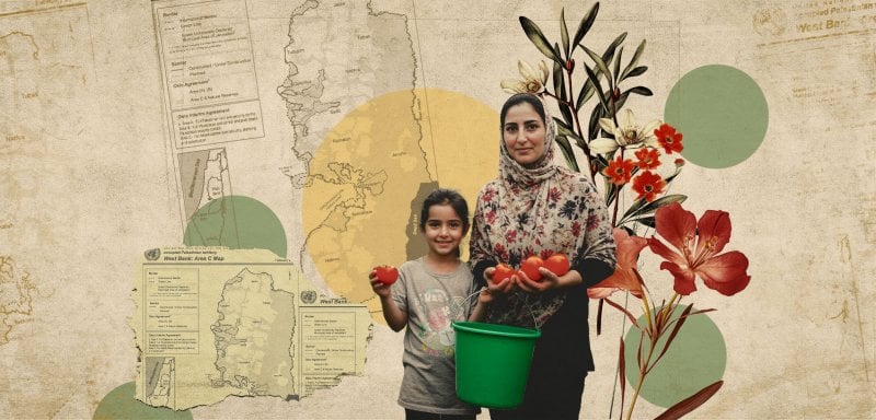 موسم النهب الكبير… كيف تخطط إسرائيل لنهب أكثر من نصف أراضي الضفة؟