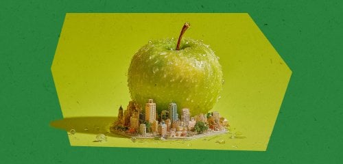 عبادة الضخامة... وبهجة الأشياء الصغيرة 
