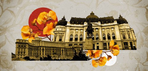 بين متعة الطعام المحلي وجنون الديكتاتور... سائح مغربي في بوخارست