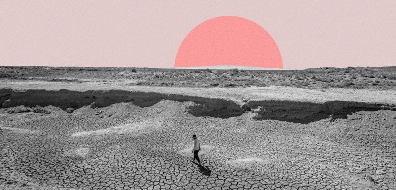 برغم التحديات الجسام… كيف يمكن أن تعزّز الزراعة الاقتصاد السوري مستقبلاً؟