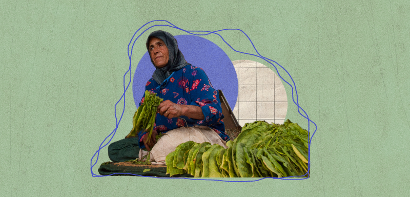الزراعة في الجنوب… الانتكاسة لم تنتهِ بانتهاء الحرب الإسرائيلية على لبنان