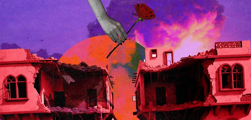 الإنسان أم الاسمنت