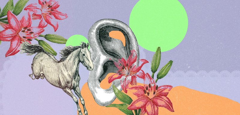 عن الحصان الذي لا يذهب للنبع وأبي نوّاس الذي تُسكِره كلمة