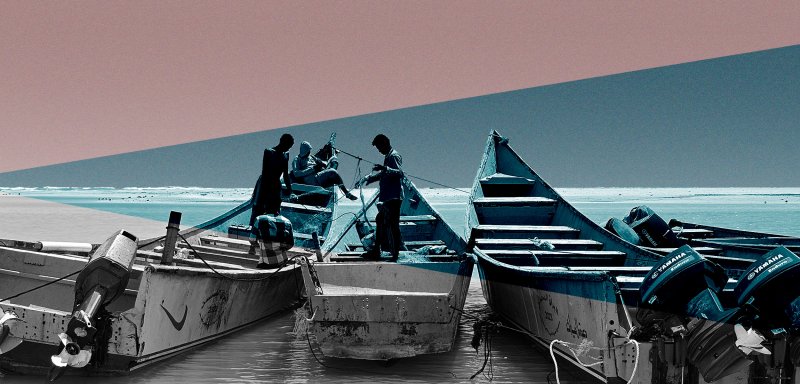 Blood on the sardines: Yemen’s reserves plundered across the borders