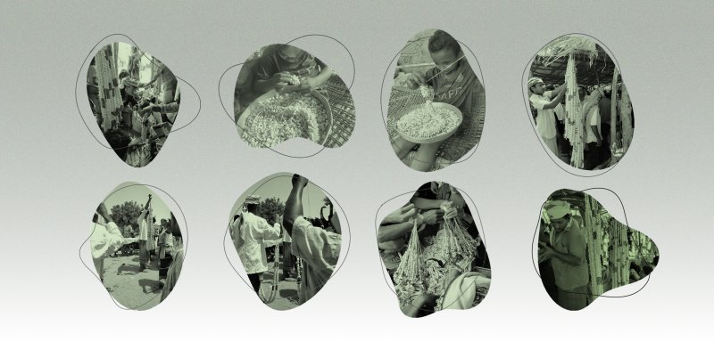 الحرب وتغيّر المناخ يهدّدان زراعة الفُل وتجارته في اليمن