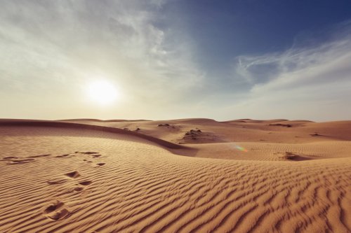 إبراهيم الكوني: وريث الصحراء يروي أساطير الأمازيغ باللغة العربية ولغات العالم