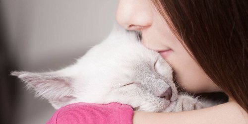 عن تلك العلاقة الساحرة والمسحورة بين المرأة وقططها