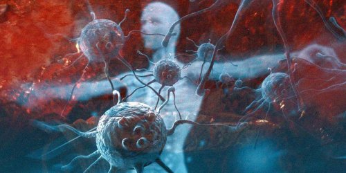 جهاز المناعة: كيف تحول الجسد إلى خط دفاع وطنيّ