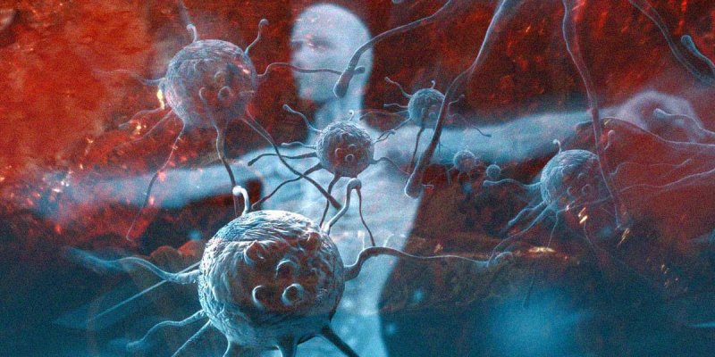 جهاز المناعة: كيف تحول الجسد إلى خط دفاع وطنيّ