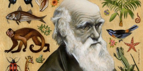 لماذا دافع مفكرون عرب عن نظرية داروين في بدايات القرن الماضي؟