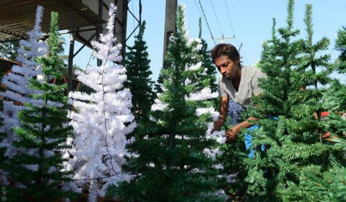 رحلة البحث عن الشجرة المحرمة... رأس السنة وعيد الميلاد في السعودية