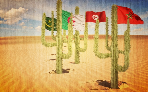 الفتنة الصحراوية والمغرب المستحيل
