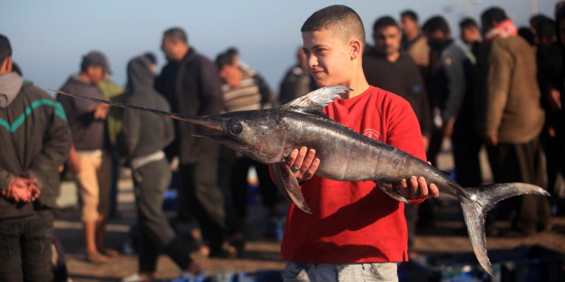 الحصار الإسرائيلي يقضي على قطاع صيد السمك في غزة