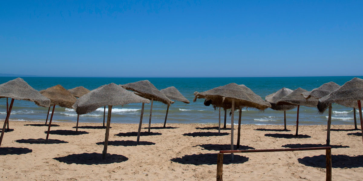 تونس تعلن حالة الطوارئ: هل انتهى زمن الربيع؟