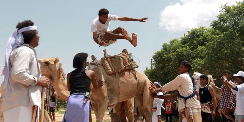 تعرّفوا إلى رياضة القفز فوق الجِمال في اليمن
