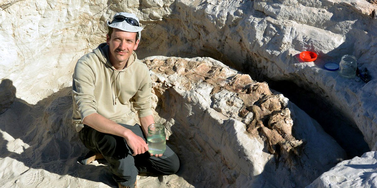اكتشاف هياكل ديناصورات في جنوب تونس قلَبَ المنطقة رأساً على عقب