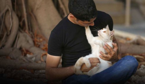 لو امكنها لهاجرت الحيوانات ايضاً من عربستان