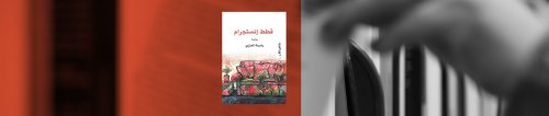 رواية "قطط إنستجرام": الكويت عبر حساب شابة متمردة على إنستاجرام