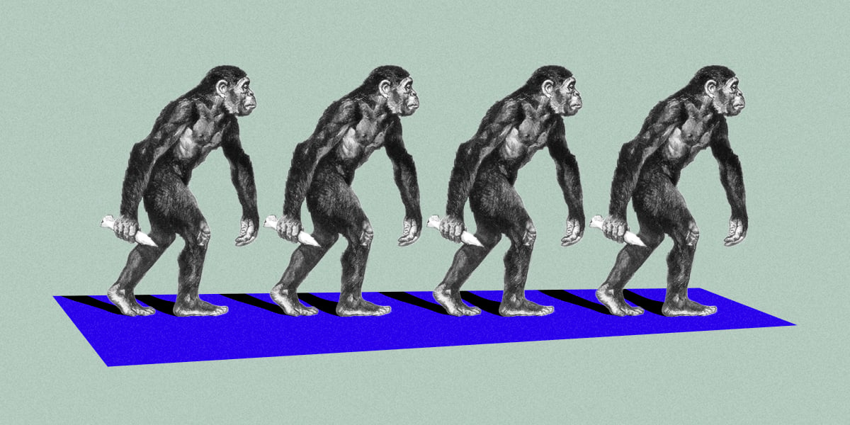 التحريمات الجنسيّة في عالم القرود والبشر