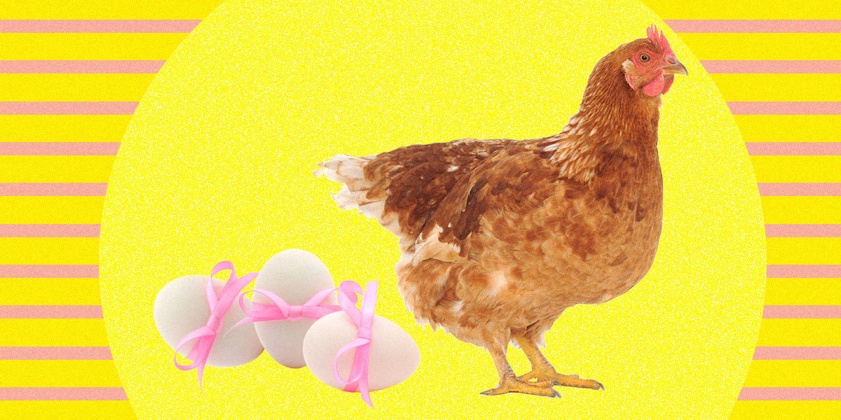 في اليوم العالمي للسرطان..بيض دجاج معدل وراثياً قد يكون العلاج